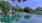 community pond